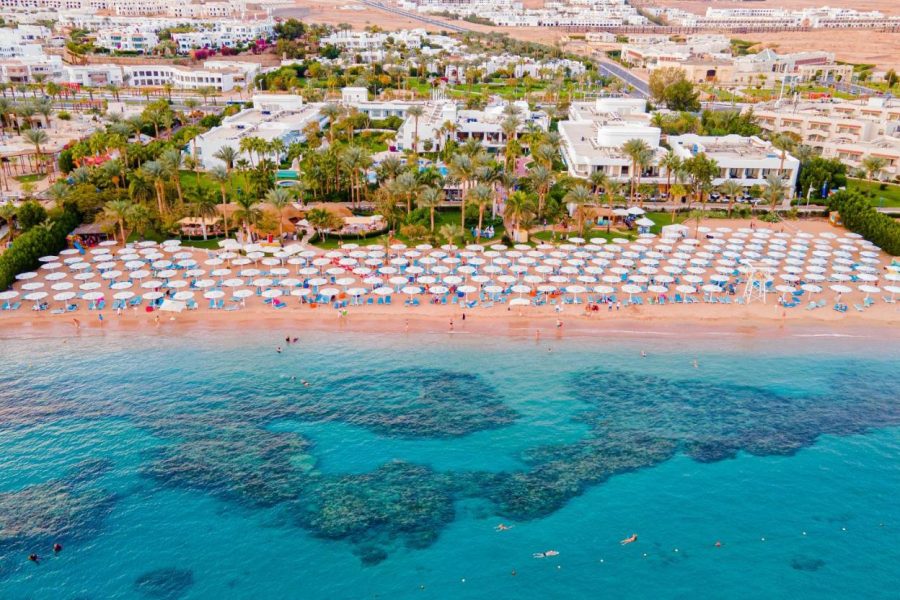 Novotel Palm Wing